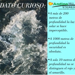 ¡Sabias que…  …de los Mares, Algunas Novedades para Ti!