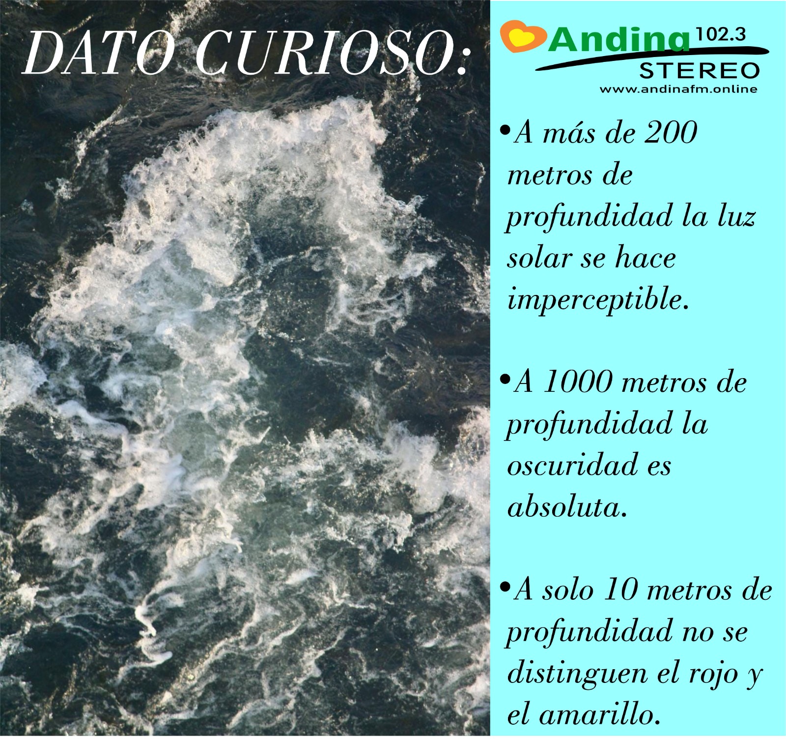 En este momento estás viendo ¡Sabias que…  …de los Mares, Algunas Novedades para Ti!