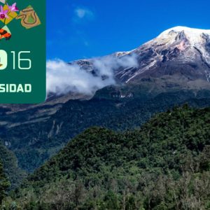 COLOMBIA PRESENTA DE MANERA OFICIAL SU PLAN DE ACCION DE BIODIVERSIDAD AL 2030