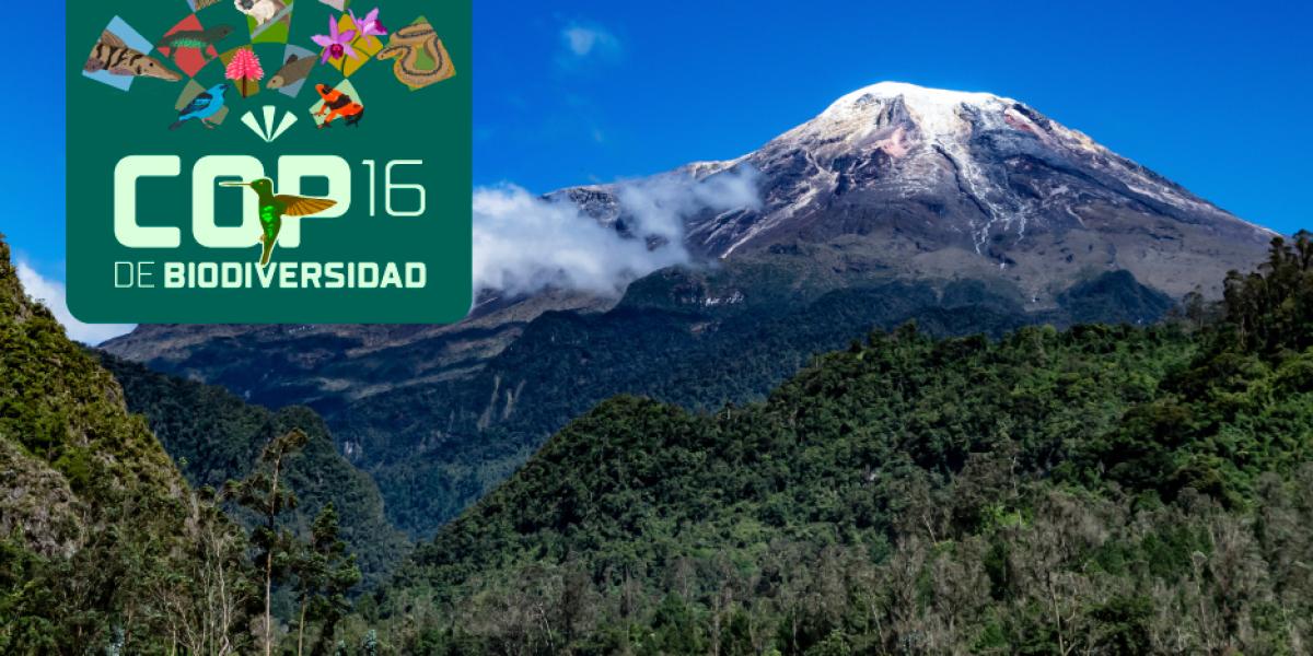 En este momento estás viendo COLOMBIA PRESENTA DE MANERA OFICIAL SU PLAN DE ACCION DE BIODIVERSIDAD AL 2030