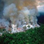 CASI 500% DE AUMENTO DE LA DEGRADACION AMAZONICA
