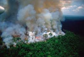 En este momento estás viendo CASI 500% DE AUMENTO DE LA DEGRADACION AMAZONICA