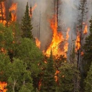 ¡EL CAMBIO CLIMATICO AGRAVA RALAS SEQUIAS, QUE SERAN MAS LARGAS E INTENSAS!