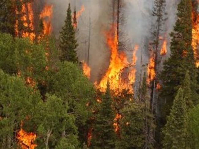 En este momento estás viendo ¡EL CAMBIO CLIMATICO AGRAVA RALAS SEQUIAS, QUE SERAN MAS LARGAS E INTENSAS!