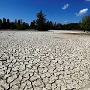 ¡INVERTR EN AMBIENTE PARA NO PERDER LA ECONOMÍA ¡