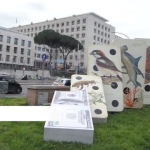 ¡LA COP 16 RETOMA LAS NEGOCIACIONES EN ROMA ¡