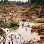 ¡PERU LA MINERIA ESTA ARRAZANDO LA AMAZONIA ¡