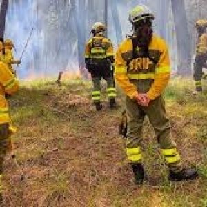 ¡BRIGADAS COMUNITARIAS SALVANMAS DE 10.200 HECTAREAS DE SER CONSUMIDAS POR INCENDIOS FORESTAES ¡