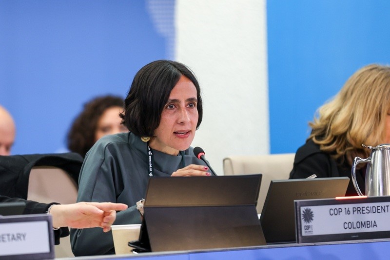 En este momento estás viendo ¡LA COP 16-2 TERMINA CON UN PLAN PARA FINANCIAR LA BIODIVERSIDAD ¡