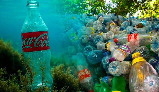 En este momento estás viendo Una ONG señala que para 2030, los océanos podrían contener más de 600.000 toneladas de plástico de productos de Coca-Cola.