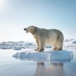 ¡NUEVO RECORD DE MINIMO DE HIELO EN EL ARTICO ¡