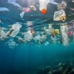 ¡UNA REUNION MUNDIAL BUSCA DEFINIR ACCIONES PARA LOS OCEANOS¡