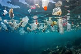 En este momento estás viendo ¡UNA REUNION MUNDIAL BUSCA DEFINIR ACCIONES PARA LOS OCEANOS¡