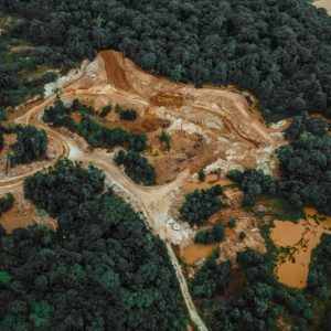 ¡COLOMBIA! CRECE LA DEFORESTACION Y ENCIENDE LAS ALARMAS ¡
