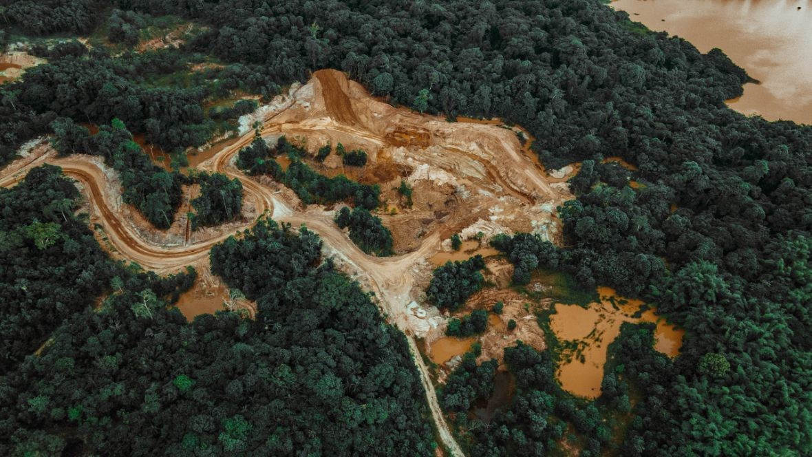 En este momento estás viendo ¡COLOMBIA! CRECE LA DEFORESTACION Y ENCIENDE LAS ALARMAS ¡
