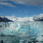 ¡LA PERDIDA DE HIELO IMPULSA LA EXTINCION DE ESPECIES¡