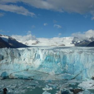 ¡LA PERDIDA DE HIELO IMPULSA LA EXTINCION DE ESPECIES¡
