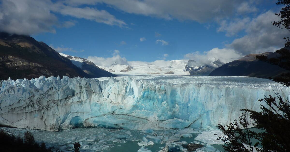 En este momento estás viendo ¡LA PERDIDA DE HIELO IMPULSA LA EXTINCION DE ESPECIES¡