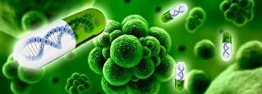 En este momento estás viendo ¡LA RESISTENCIA A LOS ANTIMICROBIANOS ES UNA REALIDAD ¡