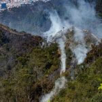 ¡PERDIDA RÈCORD DE BOSQUES TROPICALES¡