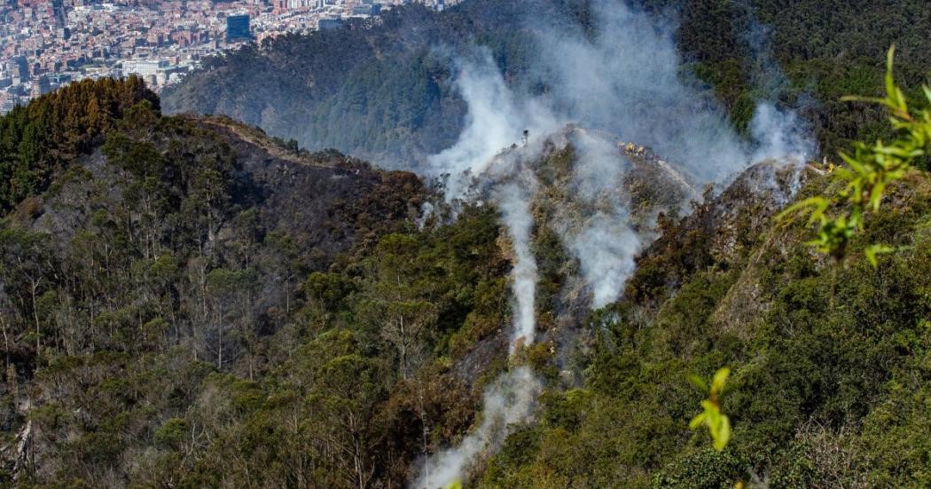 En este momento estás viendo ¡PERDIDA RÈCORD DE BOSQUES TROPICALES¡