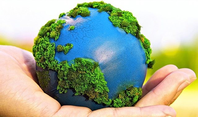 En este momento estás viendo ¡JUNIO 5 DIA MUNDIAL DEL MEDIO AMBIENTE¡