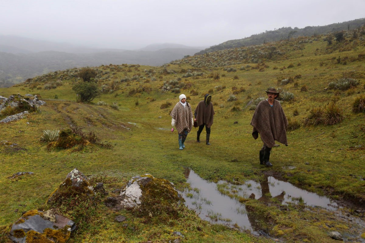 En este momento estás viendo ¡MINAMBIENTE REAFIRMA COMPROMISO CON LA PROTECCION Y DELIMITACION DEL PARAMO DE PISBA ¡