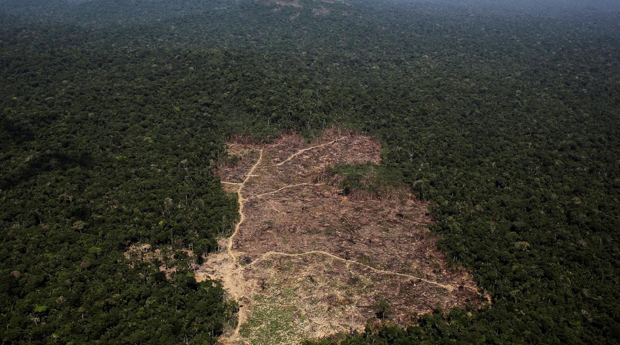 En este momento estás viendo ¡AFRODESCENDIENTES REDUCEN LA DEFORESTACION Y CONSERVAR MEJOR¡