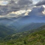 ¡PERDIDA ACELERADA Y GLOBAL DE VEGETACION EN MONTAÑAS¡