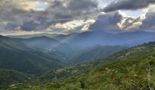 En este momento estás viendo ¡PERDIDA ACELERADA Y GLOBAL DE VEGETACION EN MONTAÑAS¡