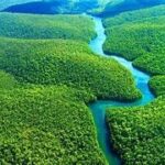 ¡LA AMAZONIA: REFORESTACION CARBONO Y DESARROLLO LOCAL EN UN MISMO PROYECTO ¡