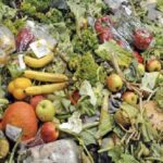 ¡100 MILLONES DE TONELADAS DE ALIMENTOS SE DESPERDICIAN CADA AÑO¡