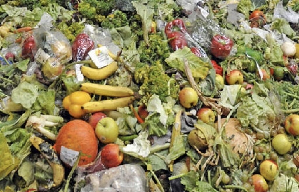 En este momento estás viendo ¡100 MILLONES DE TONELADAS DE ALIMENTOS SE DESPERDICIAN CADA AÑO¡