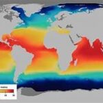 ¡LOS MARES ALCANZAN UN NUEVO RECORD DE TEMPERATURA¡