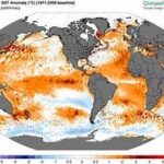 ¡LOS MARES ALCANZAN UN NUEVO RECORD DE TEMPERATURA¡