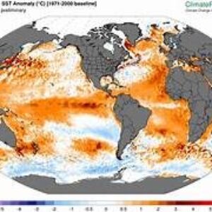 ¡LOS MARES ALCANZAN UN NUEVO RECORD DE TEMPERATURA¡