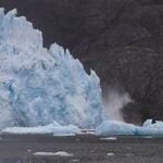 ¡ALERTA POR LA PERDIDAD DE BIODIVERSIDAD EN LOS GLACIARES DEL MUNDO¡