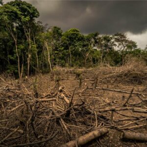 Amazonia-deforestacion-limites-planetarios-Diego-Restrepo