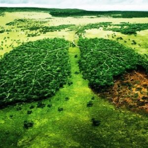 greenlungs2-1-800-744x450