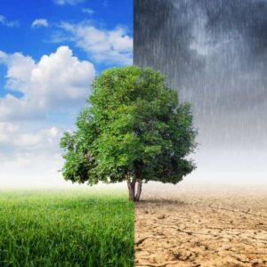 medio-ambiente-cambio-climatico
